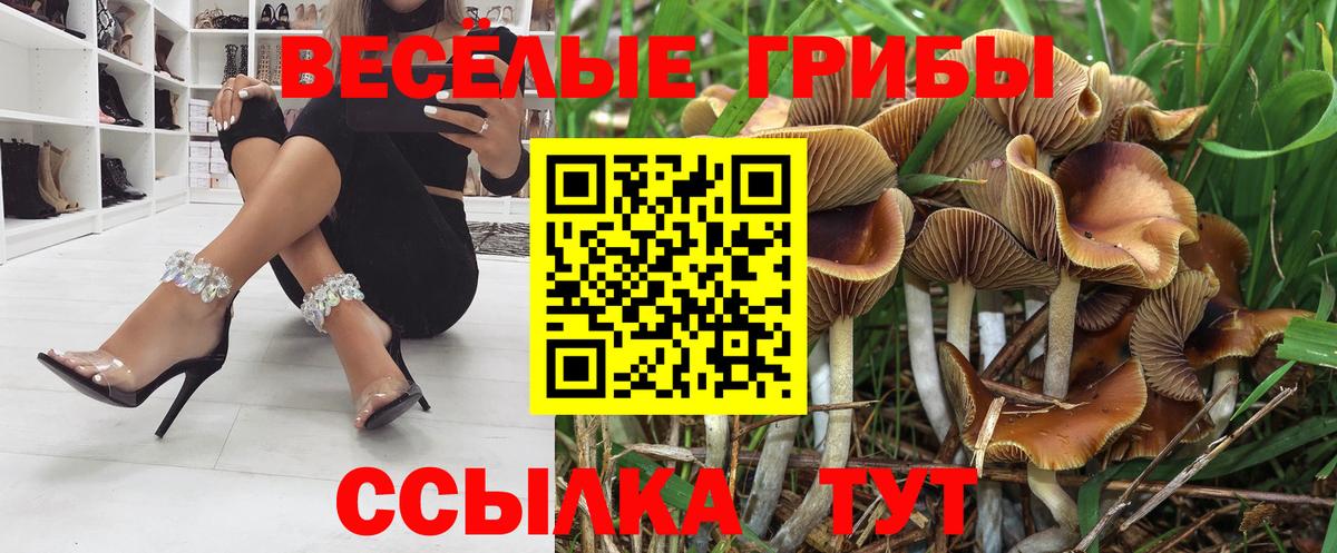 Галлюциногенные грибы Psilocybe  Вход с VPN  Магадан 