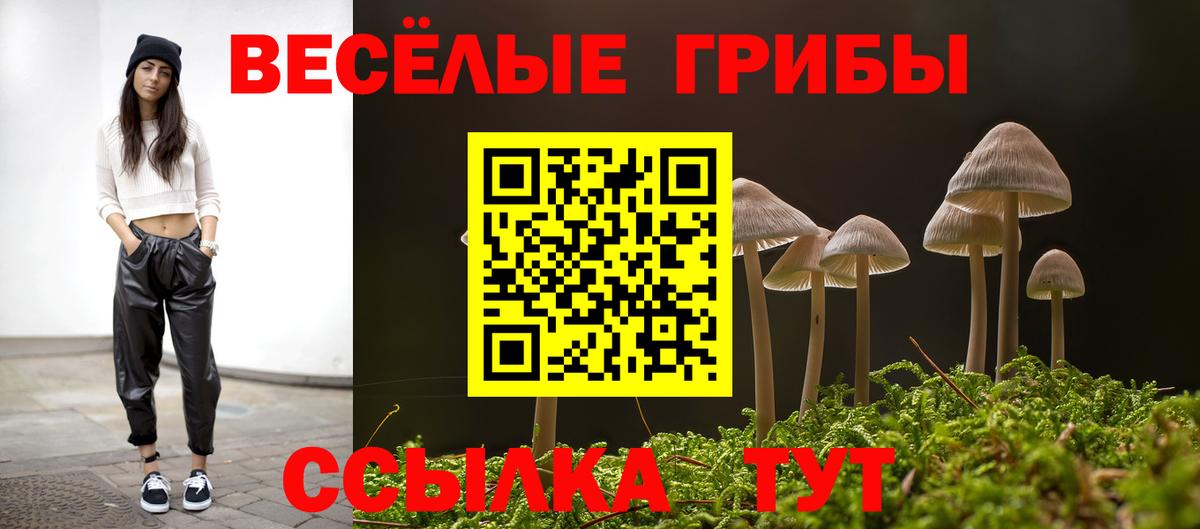 Псилоцибиновые грибы MAGIC MUSHROOMS Магадан
