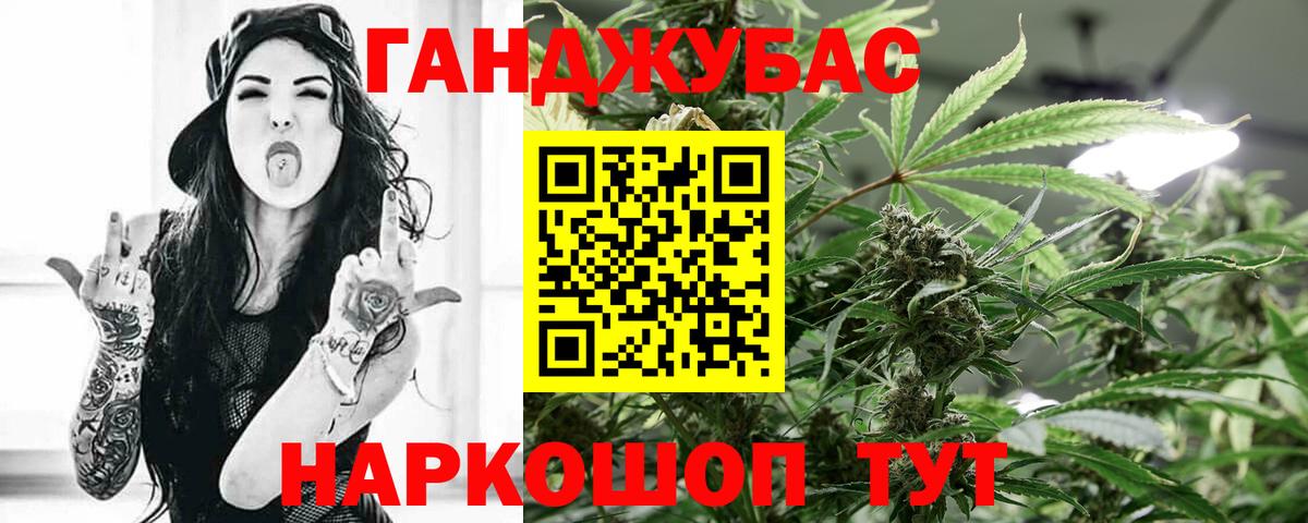 Бошки марихуана семена  Конопля MAZAR  Бошки Шишки OG Kush  Конопля THC 21%  Магадан 